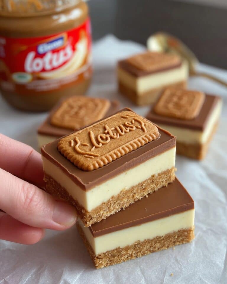 Speculoos Caramel Fudge Recipe